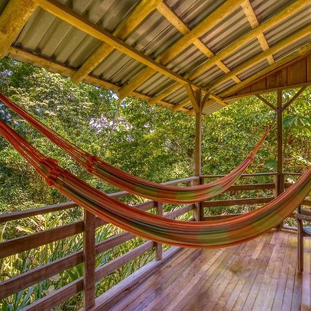 Selva Bananito Lodge Westfalia Extérieur photo