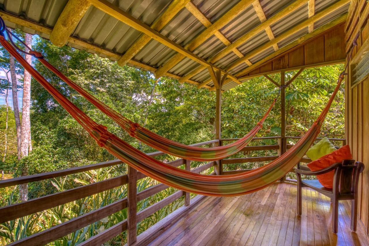 Selva Bananito Lodge Westfalia Extérieur photo